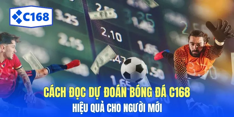 Dự Đoán Bóng Đá C168 - Nhận Định Trận Đấu Chuẩn 2025 3 Hướng dẫn đọc phân tích bóng đá cho người mới